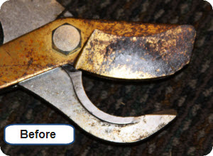 Rust Lopper Sharpening