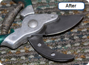 Pruners Sharpened and Rust removal